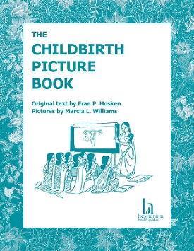 The Childbirth Picture Book